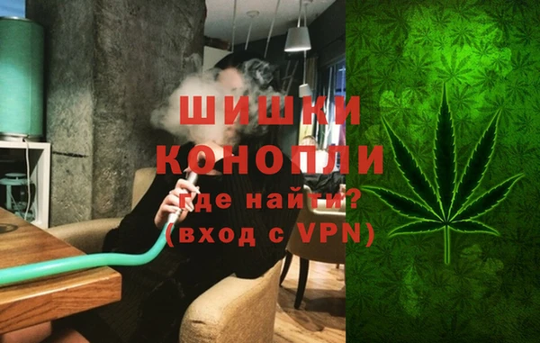 mdpv Богородск