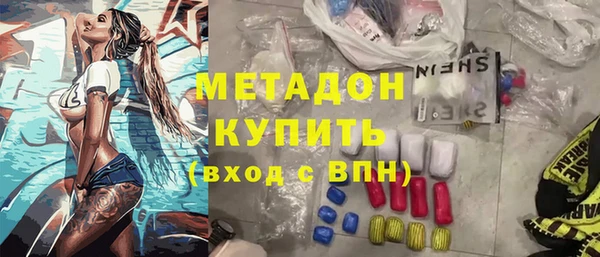 индика Краснослободск
