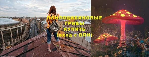 MDMA Premium VHQ Богородицк