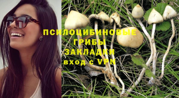 MDMA Premium VHQ Богородицк